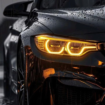 Profile photo of fkruamsalu